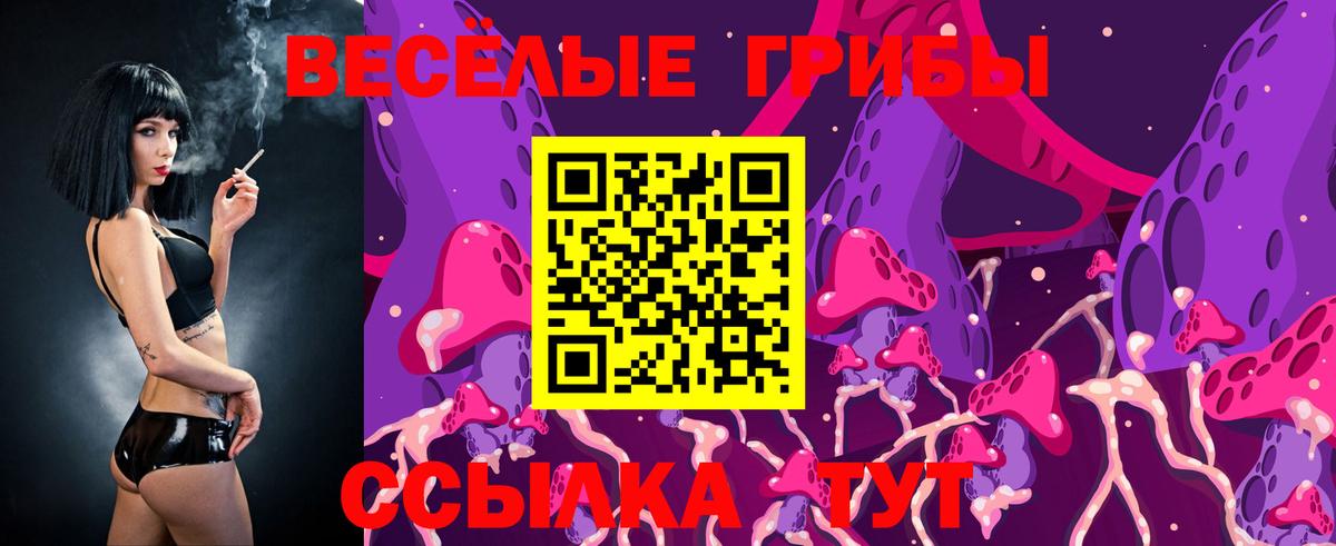 Псилоцибиновые грибы прущие грибы Усть-Джегута