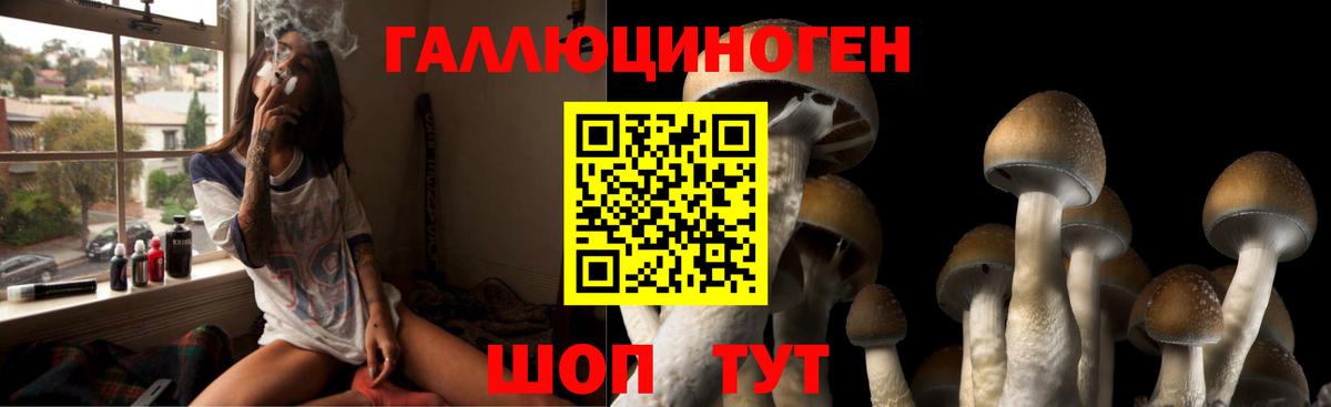 Усть-Джегута  Галлюциногенные грибы мухоморы  Вход с VPN  Галлюциногенные грибы Psilocybe 